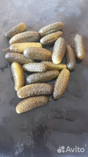 Продукты питания,огурцы
