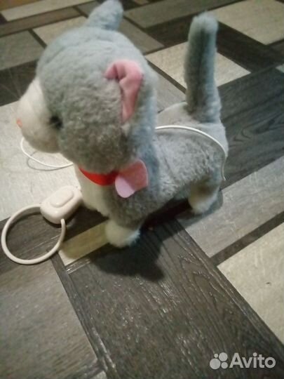 Интерактивная кошка