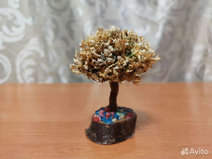 Дерево, раскрывающееся от воды