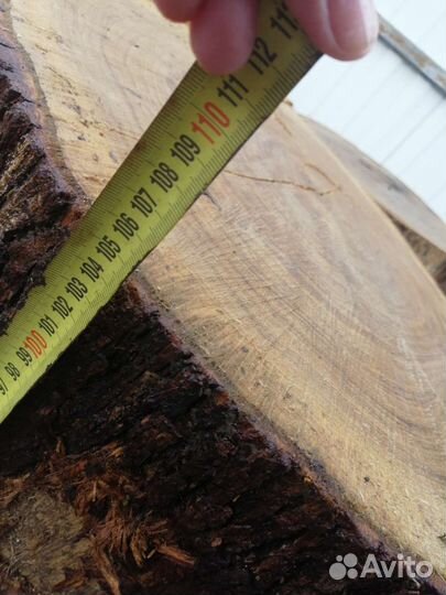 Пень дубовый