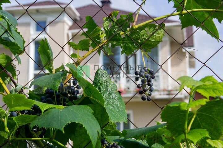 Дом 125,3 м² на участке 10 сот.