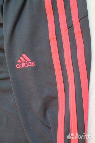 Adidas climacool штаны