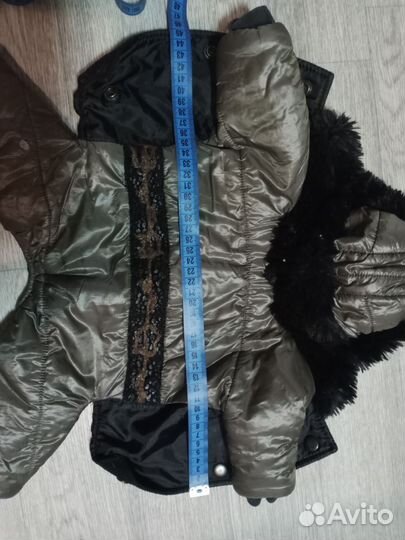 Одежда для маленьких собак