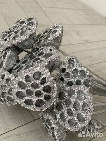 Лотос сухоцветы на ножке серебро