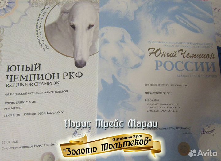 Кавалер для вязки