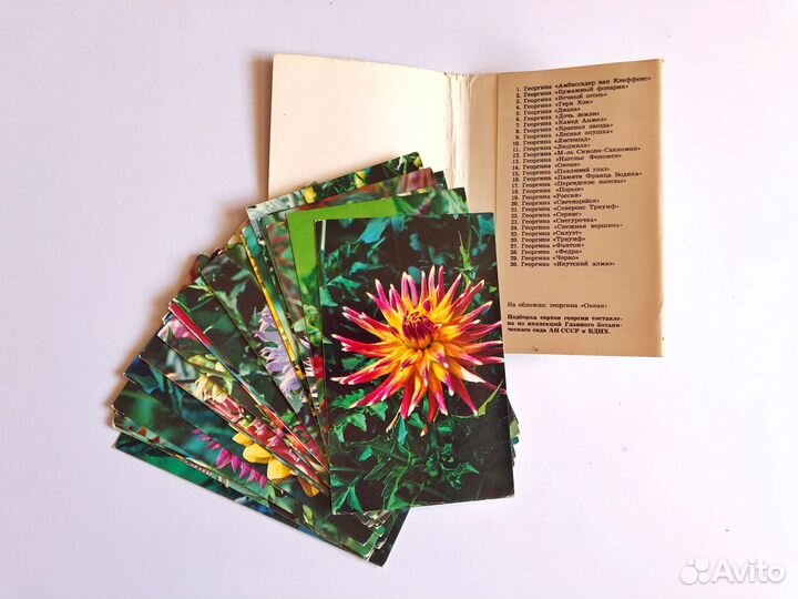 Открытки цветы СССР
