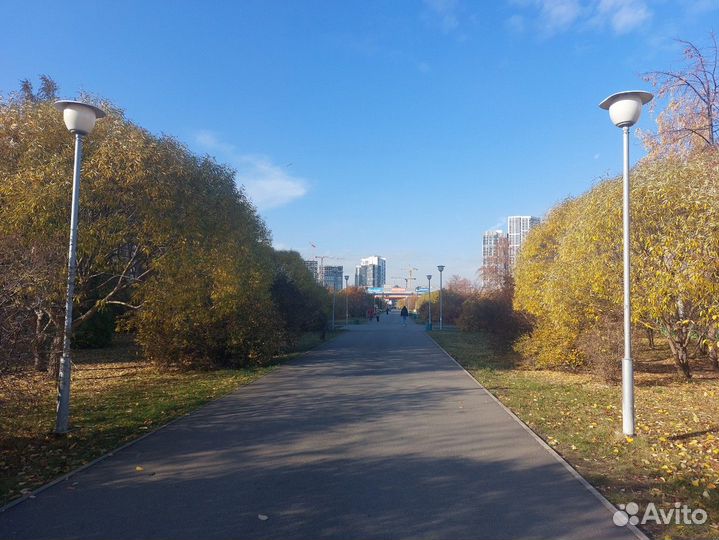 Выгул вашей собаки. Ботаника