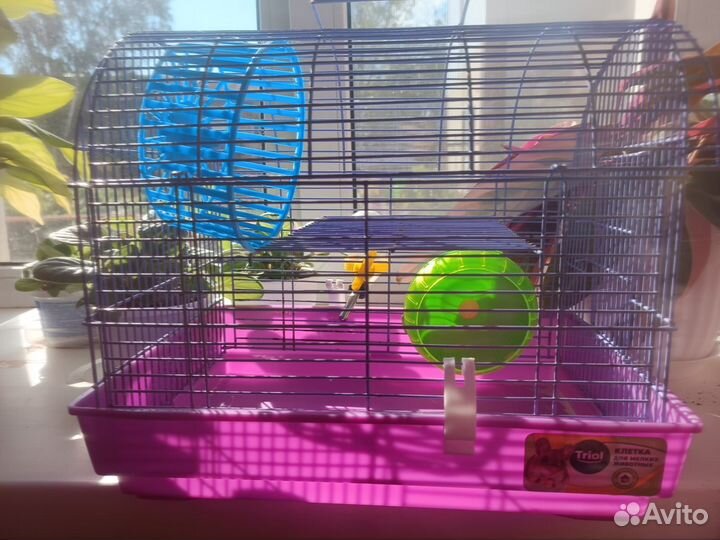 Клетка для грызунов бу