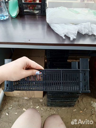 Ящик пластиковый