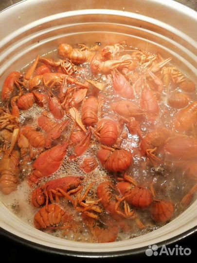 Живые и Варёные раки в Наличии с доставкой