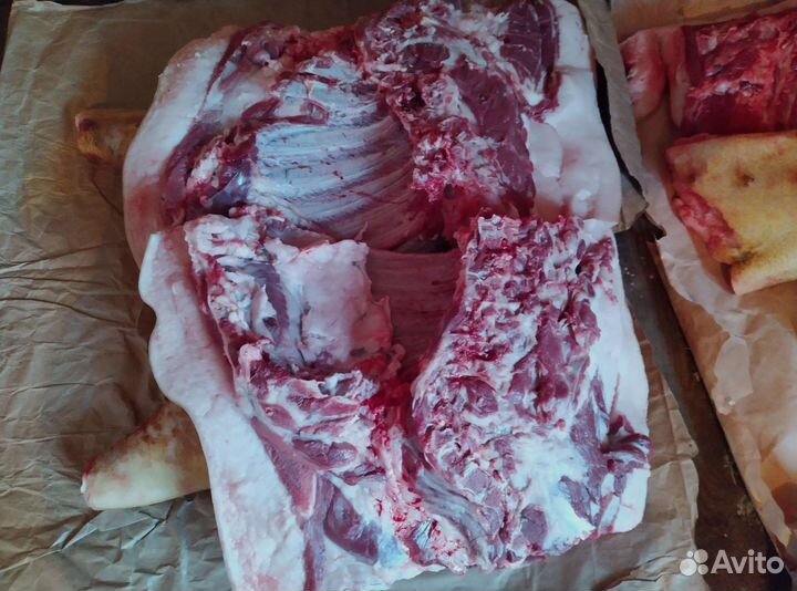 Мясо свинина