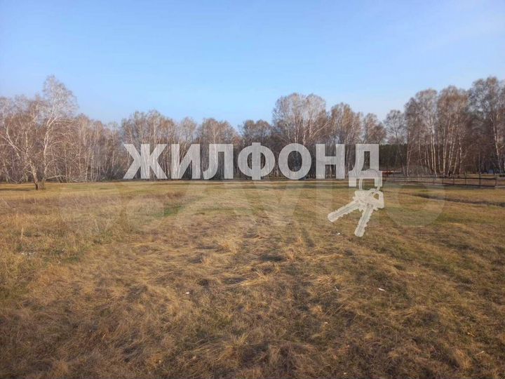 Участок 10 сот. (СНТ, ДНП)