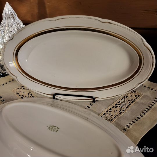 Селедочницы зик