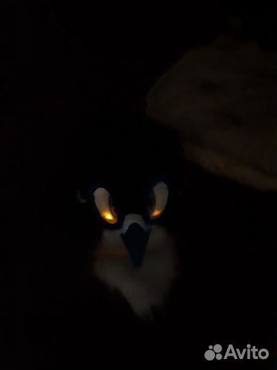 Фурсьют,фурри,маска