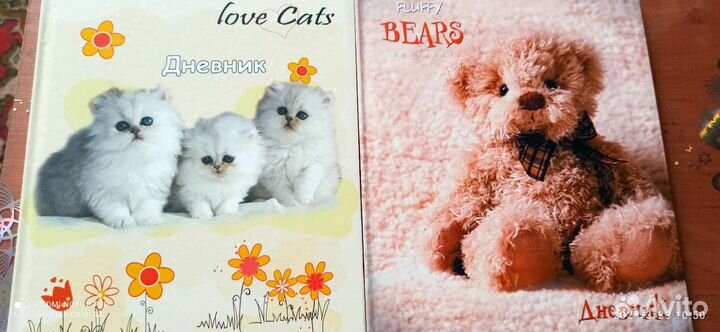 Дневник школьный