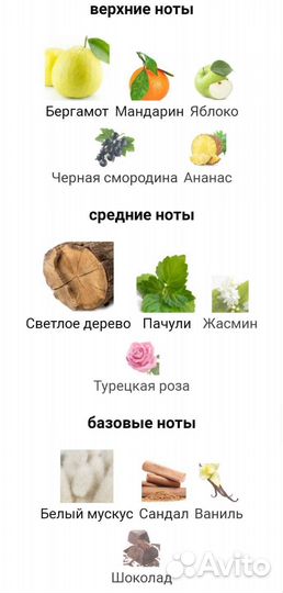 Масляные духи Quantum Molecule, на розлив