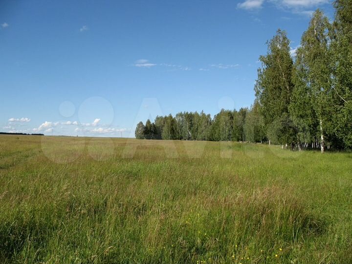 Участок 35 га (СНТ, ДНП)