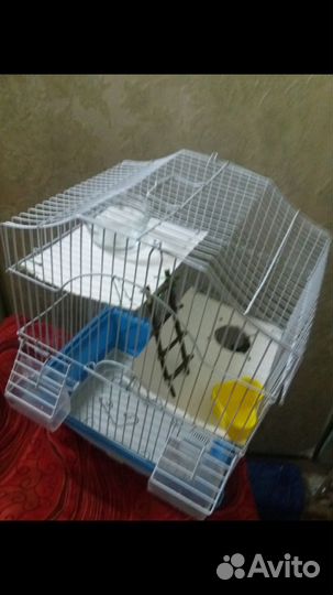 Укомплектованные клетки