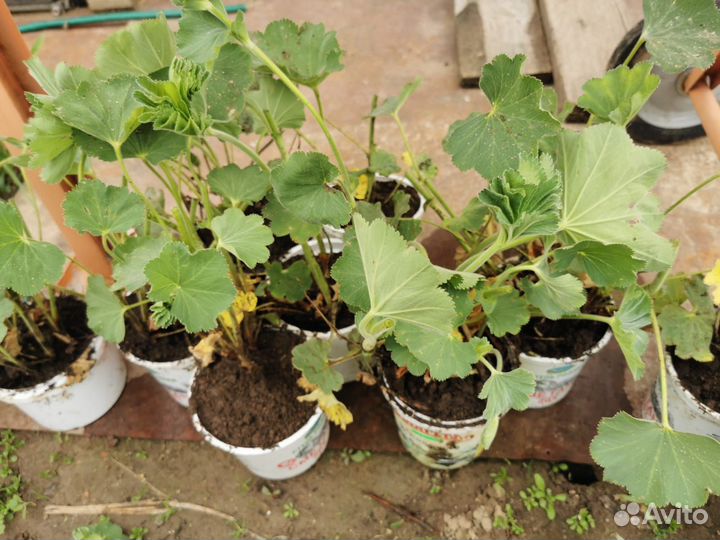 Манжетка мягкая