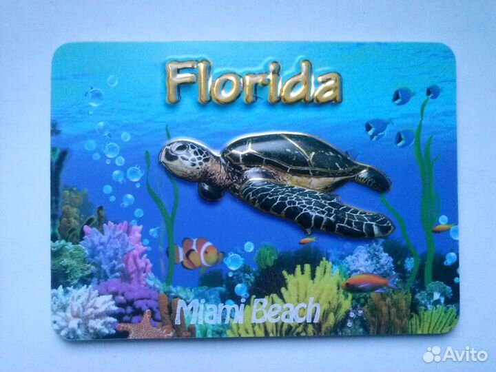 Магниты Северной и Южной Америк