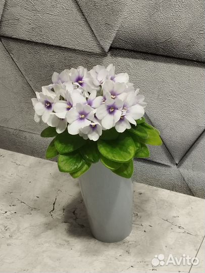 Детки мини фиалок