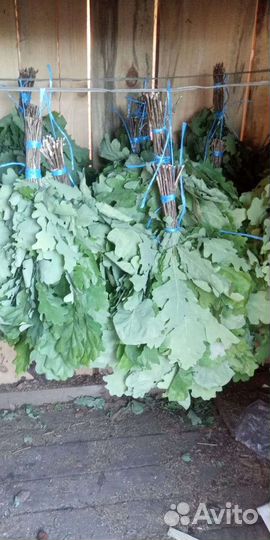 Дубовые веники