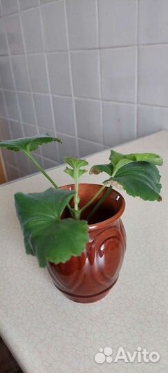 Керамические вазочки-салфетницы