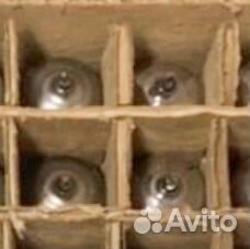Радиолампы 6ж4п и 6ж38п новые