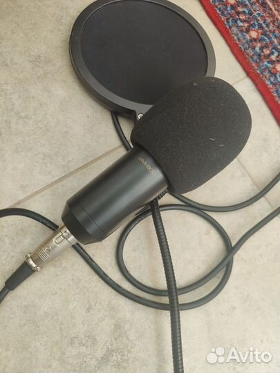 Микрофон BM 800