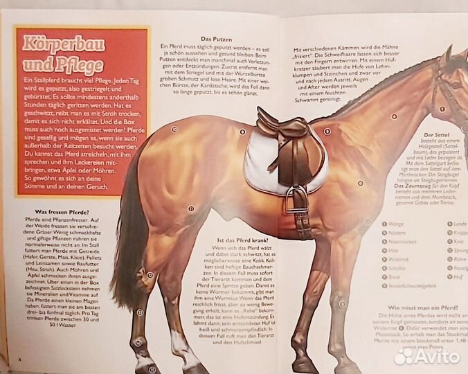 Книга на немецком для детей Pferde