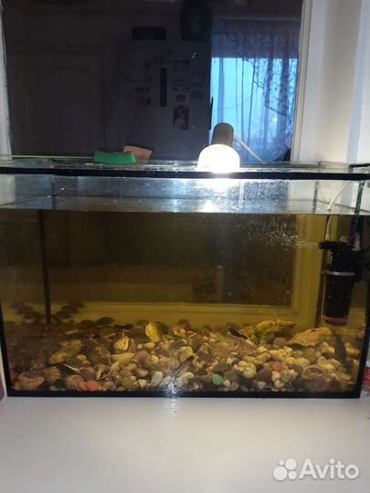 Аквариум с рыбками