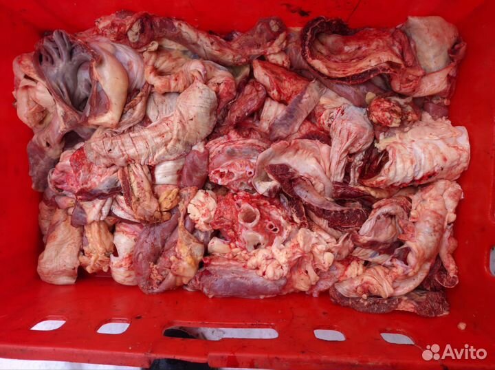 Мясо говядина для собак