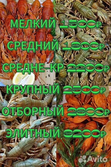 Живые Раки. Вареные Раки