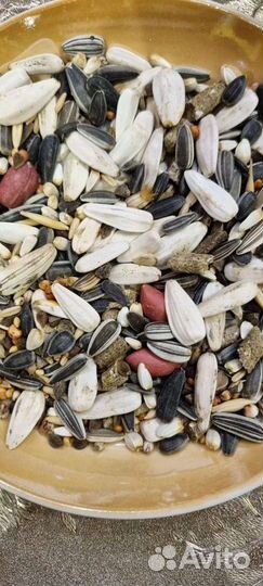 Корм для крупных попугаев (Жако, Амазоны, Какаду)