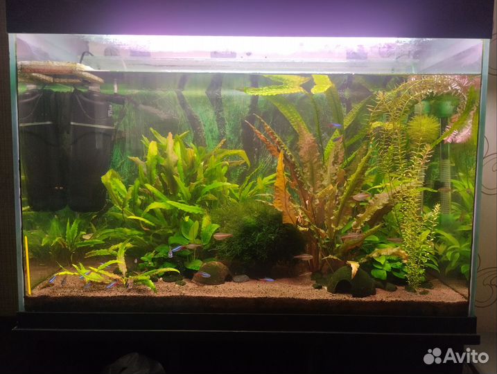 Аквариум с тумбой с рыбками