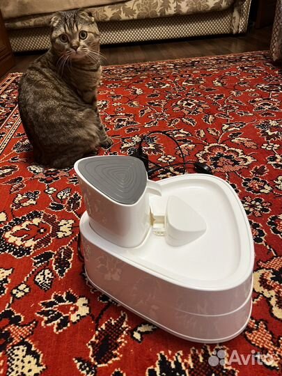 Фонтан для кошек, поилка для кошек