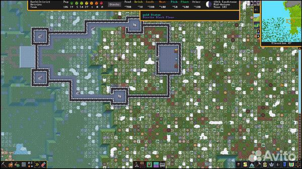 Dwarf Fortress (Steam)