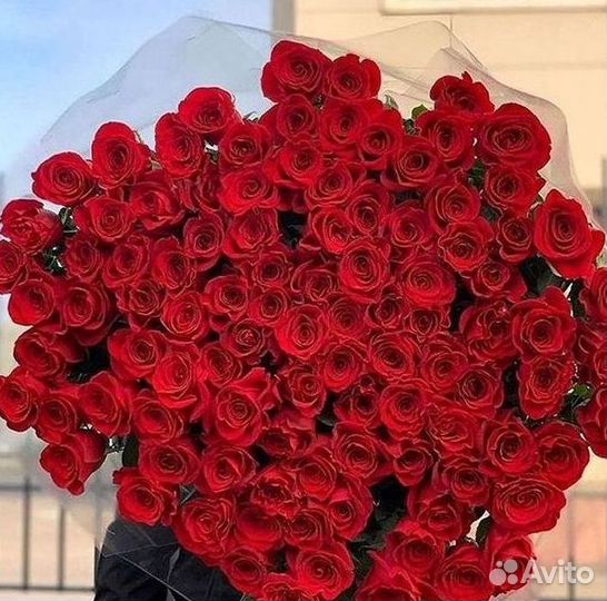 101 роза цветы букеты доставка 25 51 101 роза