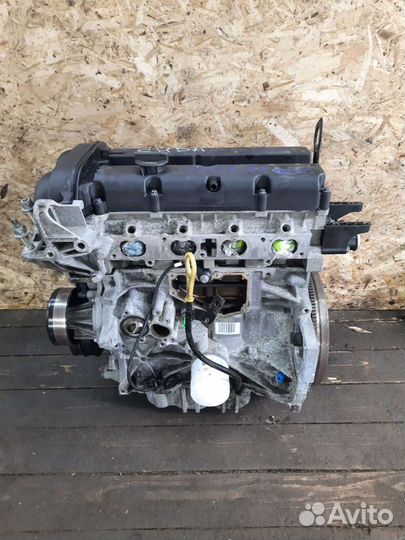 Двигатель Ford focus 2 1.6 100лс shda
