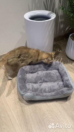 Новая лежанка для животных