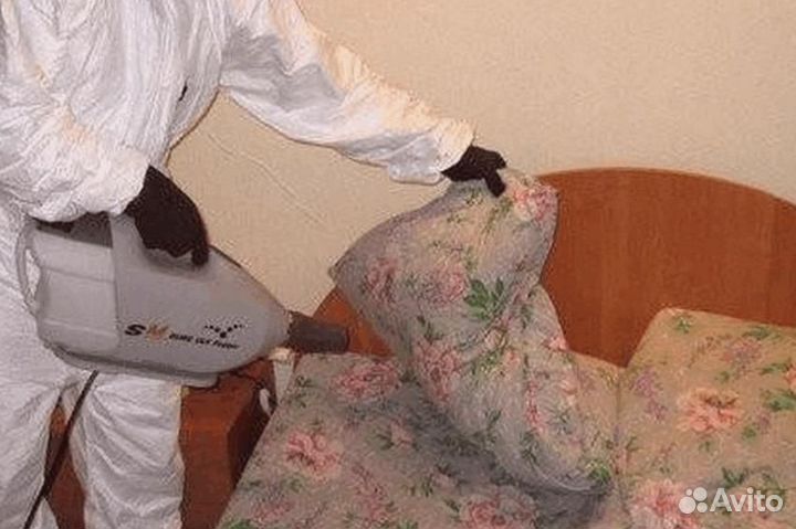 Средство от крыс тараканов клопов