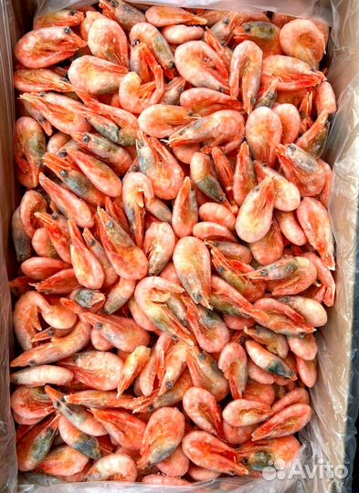 Оптом Креветки