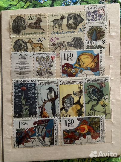 Большая коллекция почтовых марок