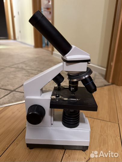 Микроскоп Levenhuk Rainbow 2L plus