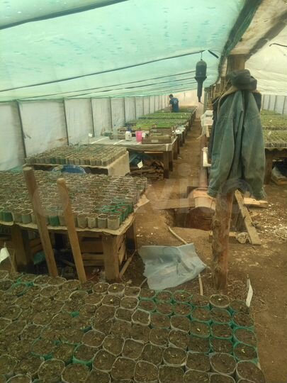 Дом 50 м² на участке 50 сот.