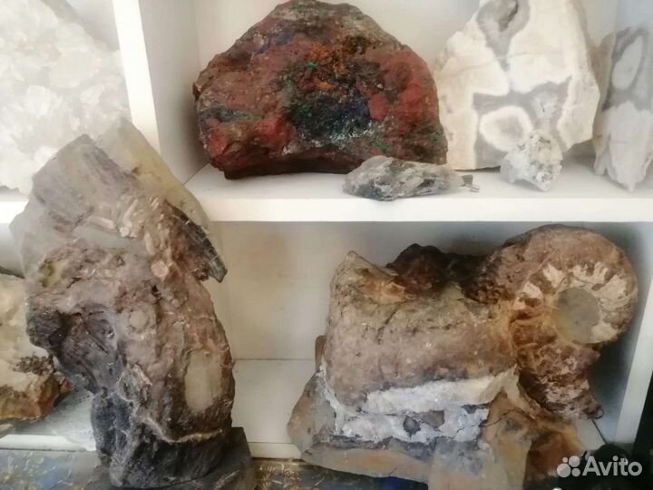 Шары из минералов. Септарии. Жеоды. Окаменелости