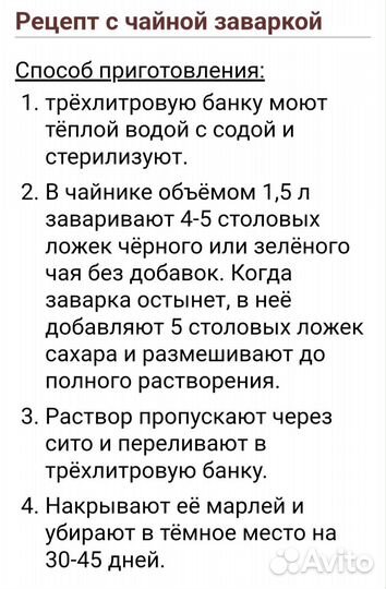 Чайный гриб