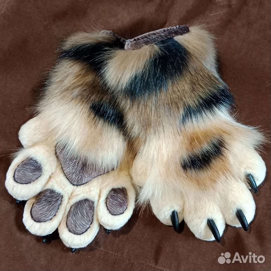 Фурчатки трехцветные