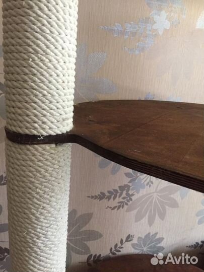 Когтеточка эко в хорошем состоянии