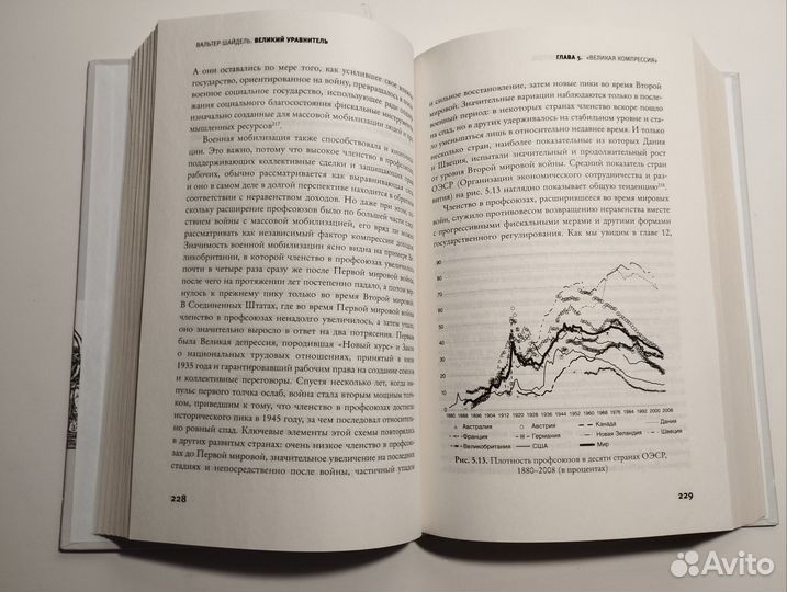 «Великий уравнитель» В. Шайдель